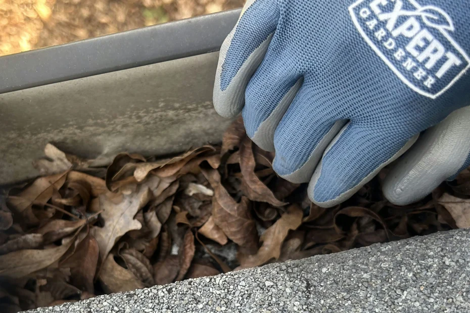 Gutter Cleaning North Redington Beach FL