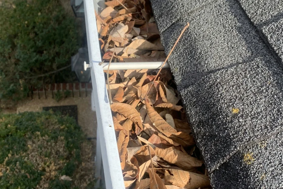 Gutter Cleaning North Redington Beach FL